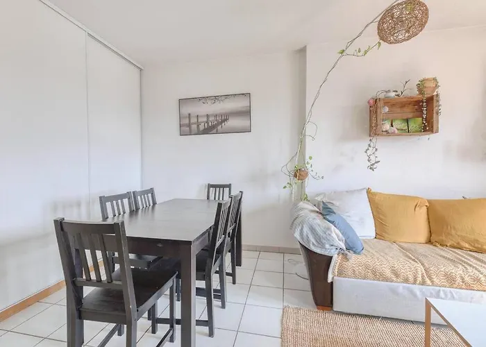 Le Parnasse : T2, Vue Sur Le Lez, Tram à Proximité